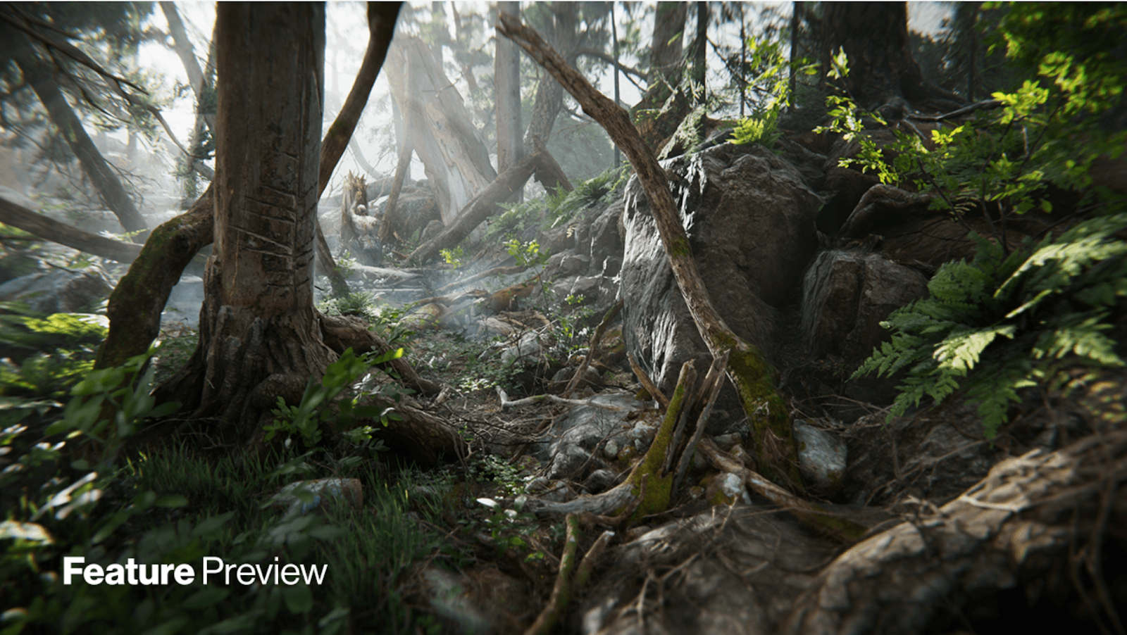 Introduction to Materials