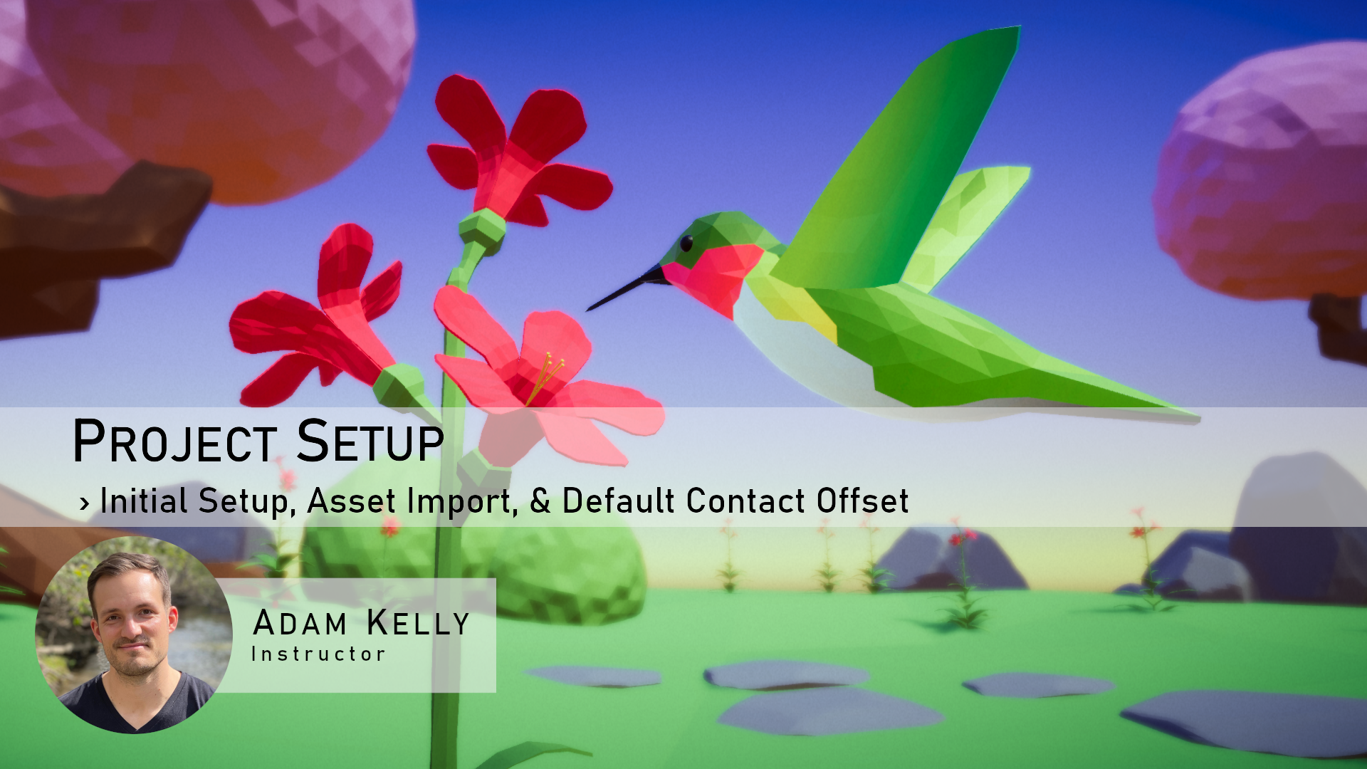 Initial Setup, Asset Import & Default Contact Offset