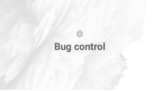 The QA Testing Process