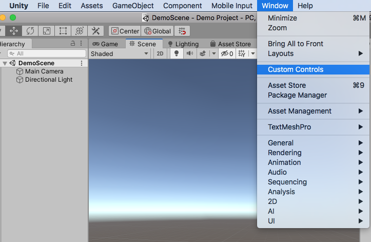 Figure 05: Custom Controls menu selection.