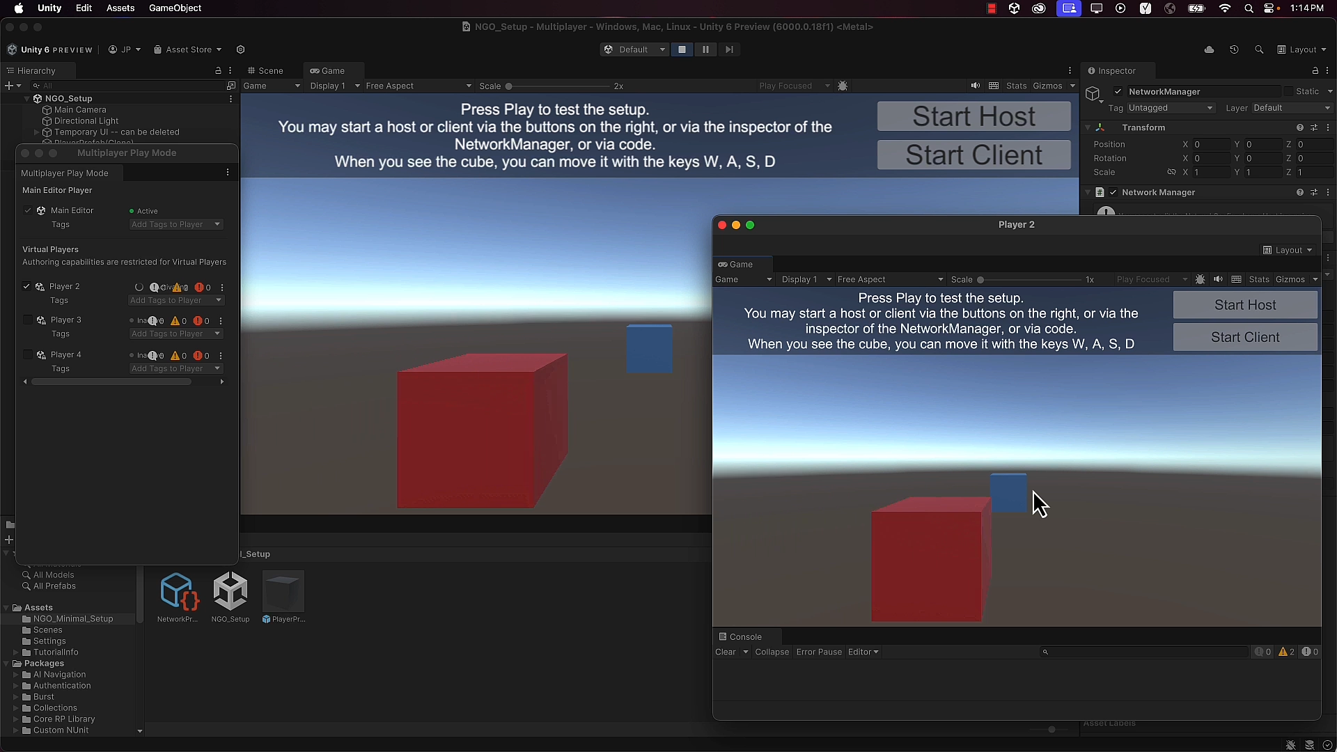 Exploring a Basic NGO Setup